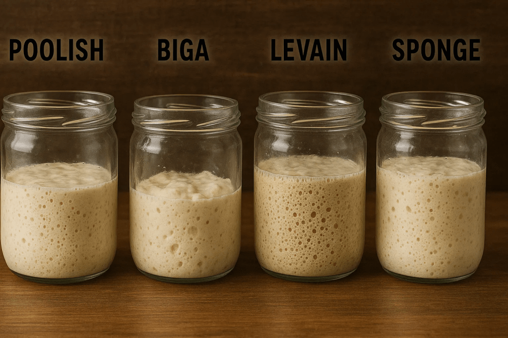 Quatro frascos de pré-fermentação de massa: Poolish, Biga, Levain e Sponge, cada um mostrando diferentes níveis de bolhas e espuma.